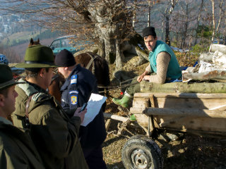 Полицијата ги прегледува дозволите на селаните во областа Прахова во Романија / Фото: Магда Минтенеану