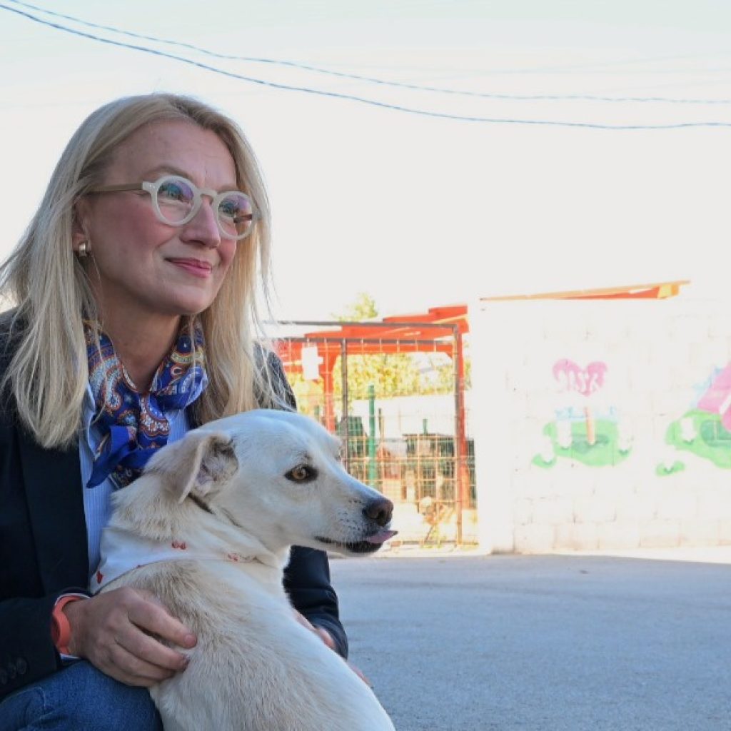 Пешева: Општините поактивно да се вклучат во контролата на кучиња