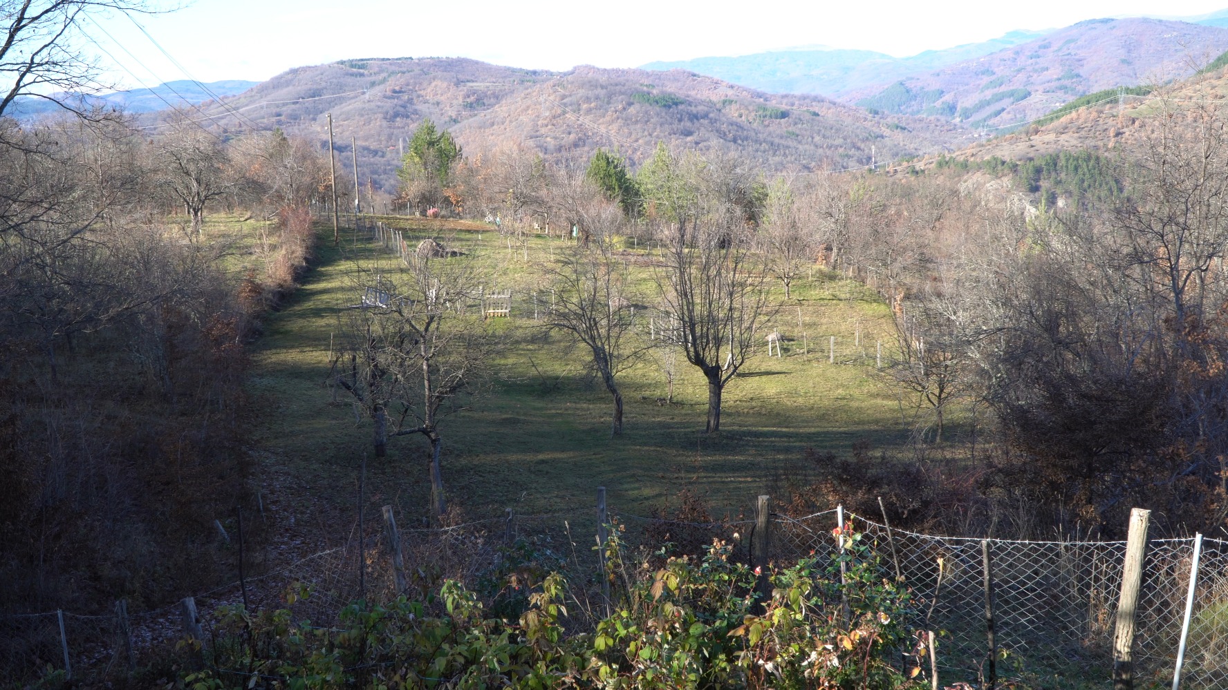 Фотографија од двор во Крива Паланка 