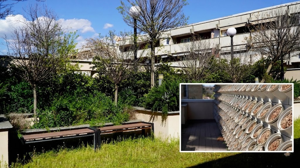 Фотографија од зелениот покрив во Домот на градежници 