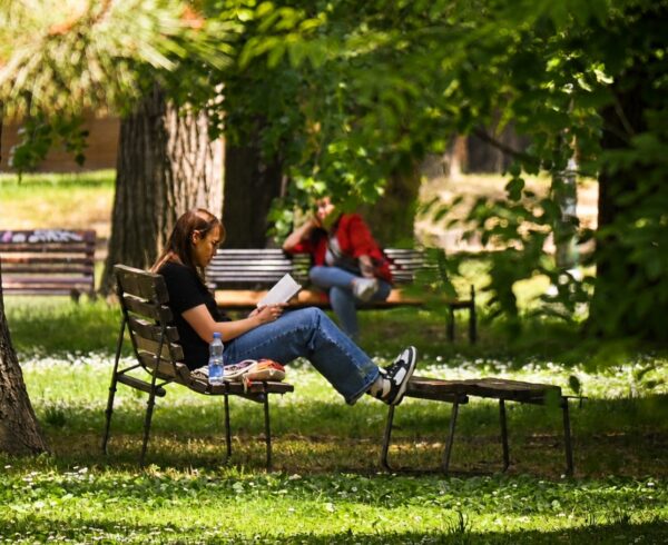 Фотографија од девојка која чита книга на клупа во парк
