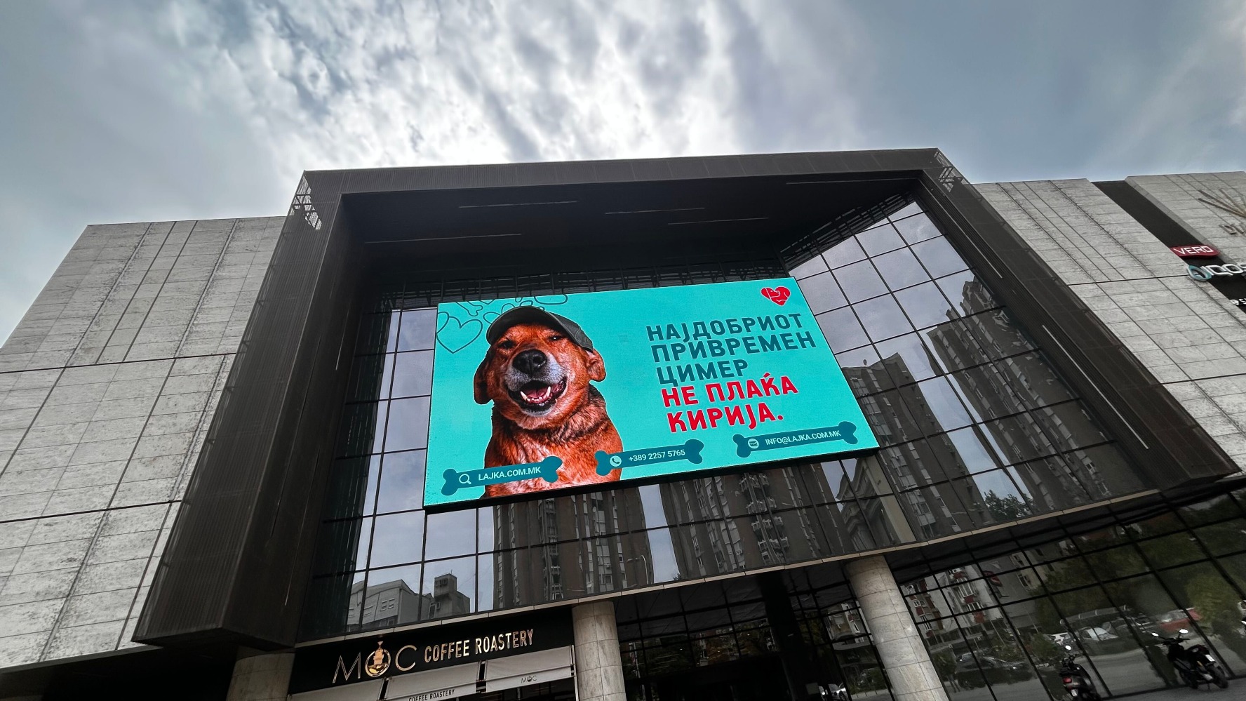 Фотографија од промотивна фотографија на Лајка