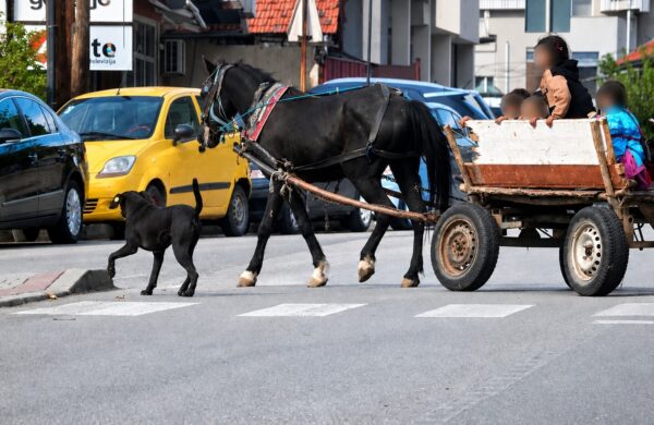 Фотографија од запрежна кола во Скопје со коњ | Фото: БИРН
