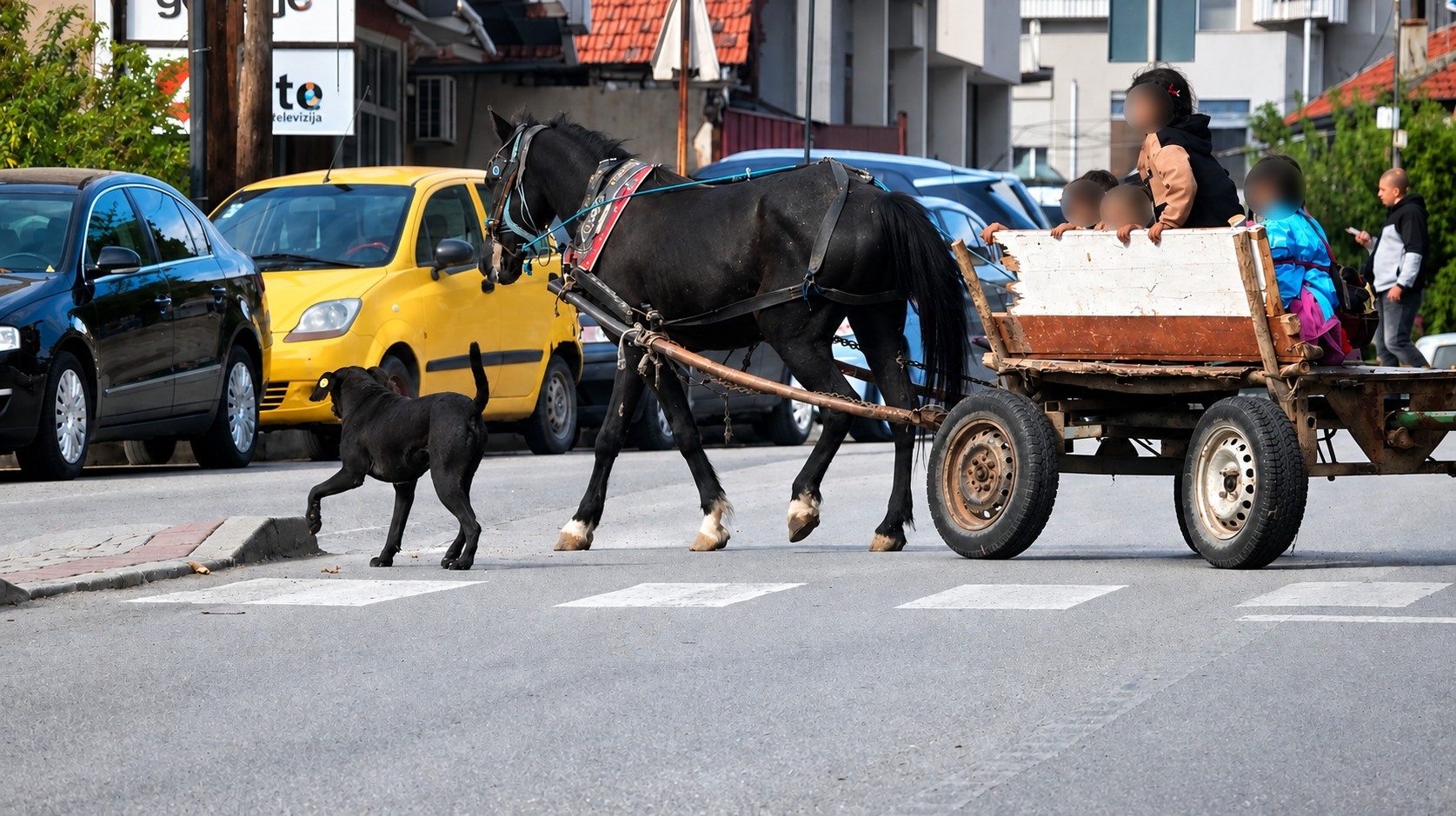 Фотографија од запрежна кола во Скопје со коњ | Фото: БИРН